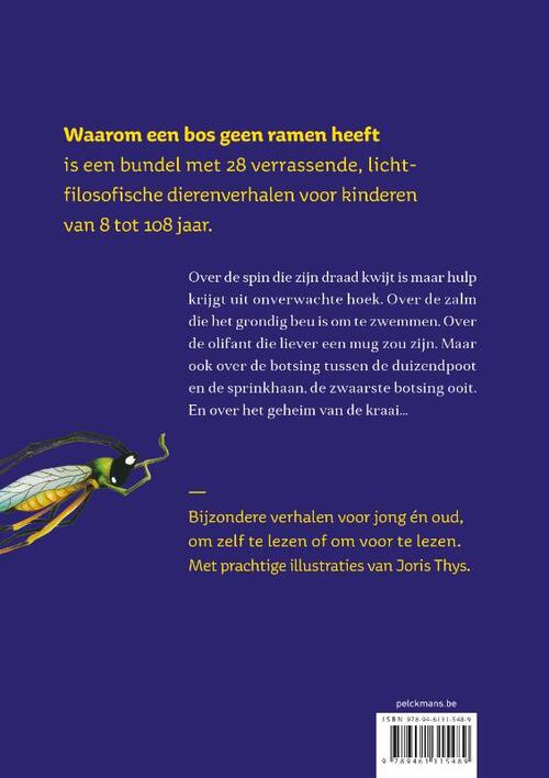 Waarom een bos geen ramen heeft