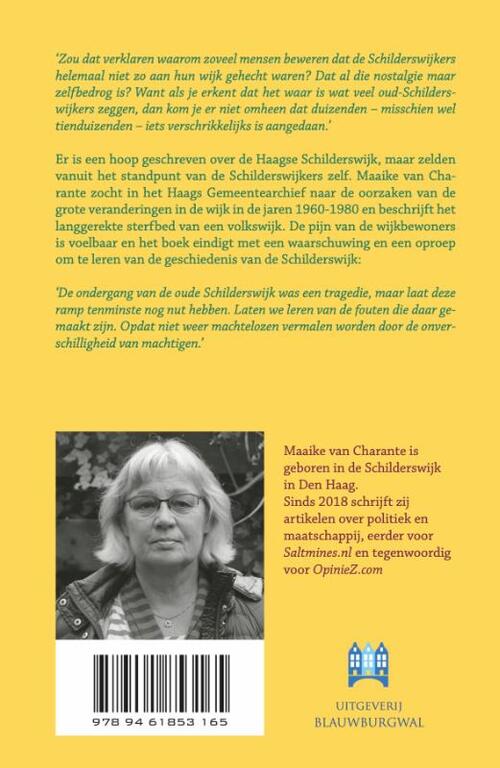 Het verdriet van de Schilderswijk