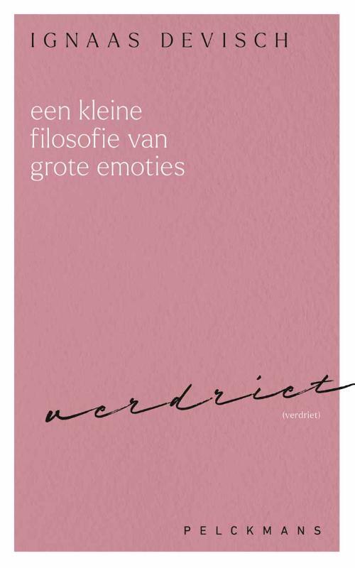 Een kleine filosofie van grote emoties: Verdriet