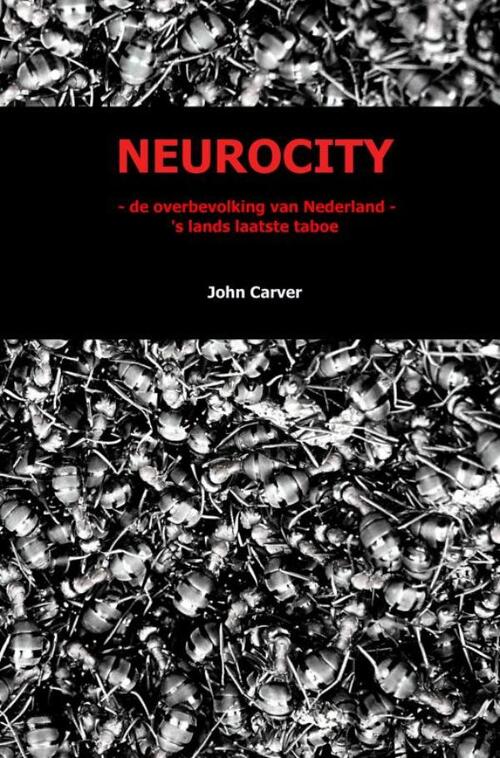 Neurocity