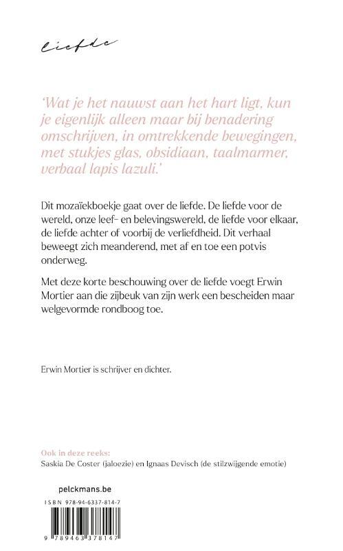 Een Kleine Filosofie Van Grote Emoties Liefde Erwin Mortier Boek Bruna