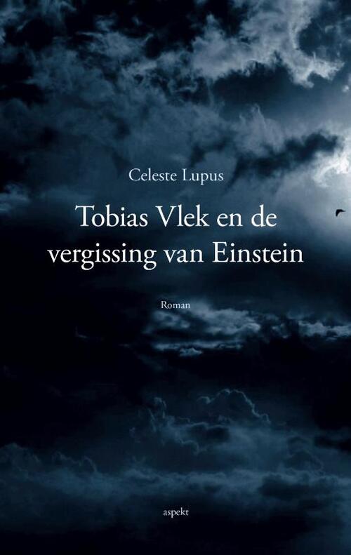 Tobias Vlek en de vergissing van Einstein