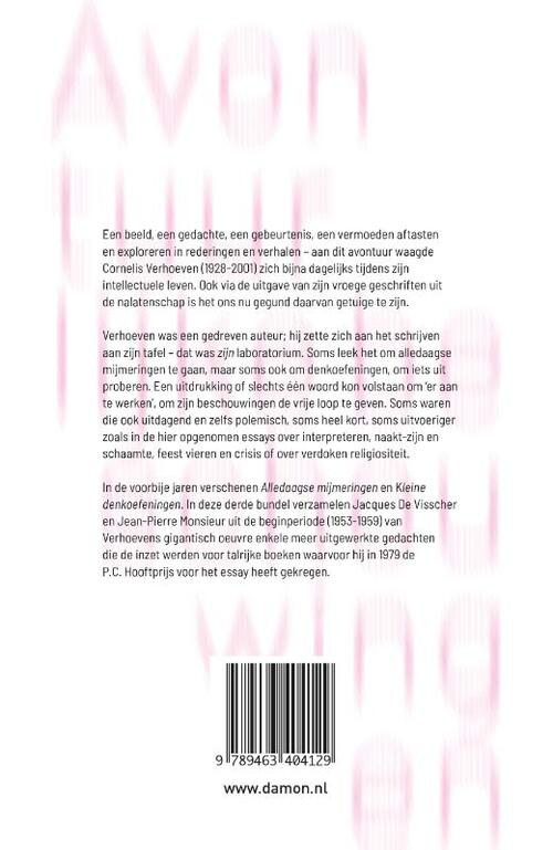 Avontuurlijke beschouwingen