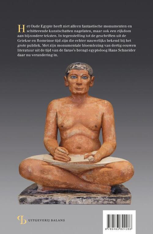 Api Farao Schrijven voor de farao, Hans D. Schneider | Boek | 9789463824286 | Bruna