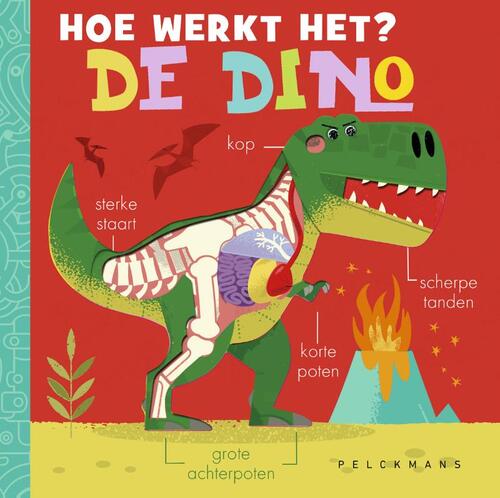 Hoe werkt het? De dino