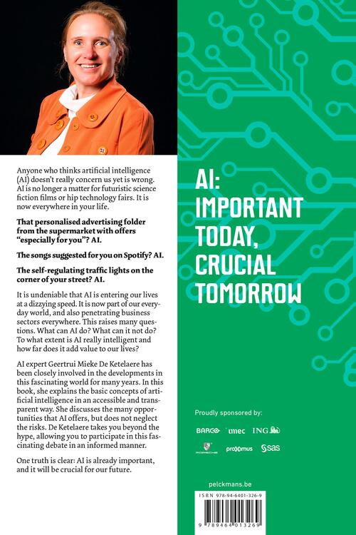 Wanted: Human-AI Translators e-book