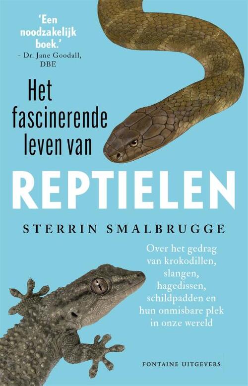 terugtrekken aankomen saai Het fascinerende leven van reptielen, Sterrin Smalbrugge | Boek |  9789464040548 | Bruna