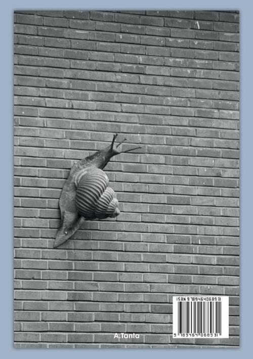 Beelden in openbare ruimte Noord Nederland