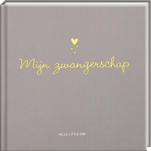 Baby invulboeken - Mijn zwangerschap