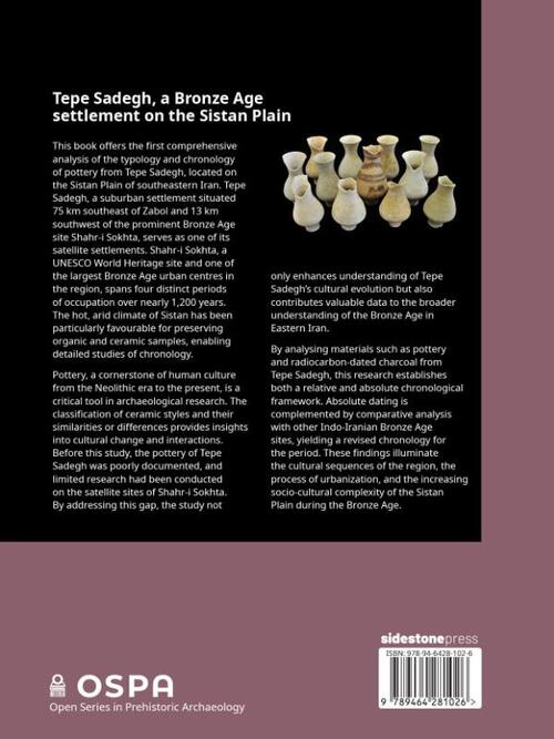 Tepe Sadegh, a Bronze Age settlement on the Sistan Plain