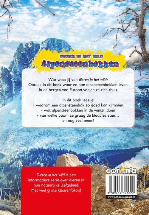 Alpen Steenbokken