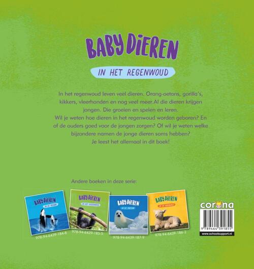 Babydieren in het regenwoud