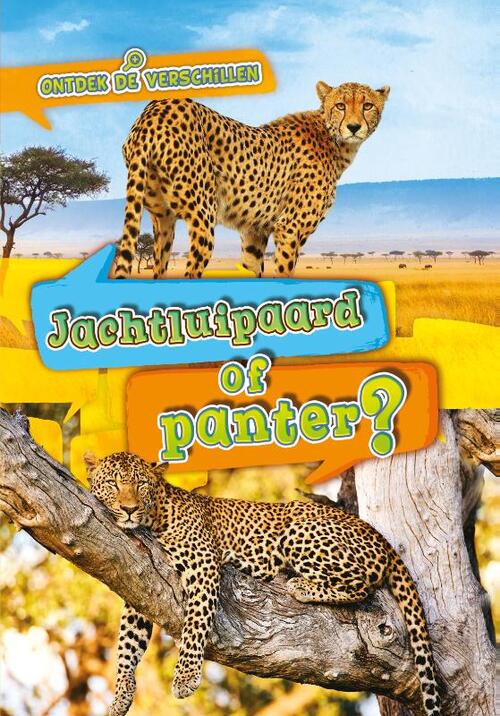 Jachtluipaard of panter?