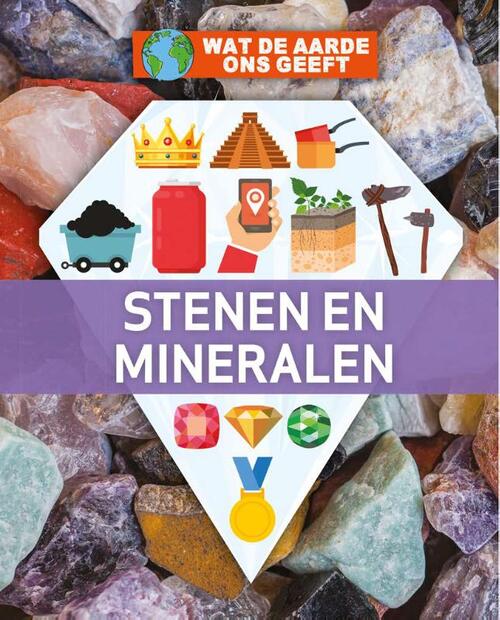 Stenen En Mineralen Nancy Dickmann Boek Bruna