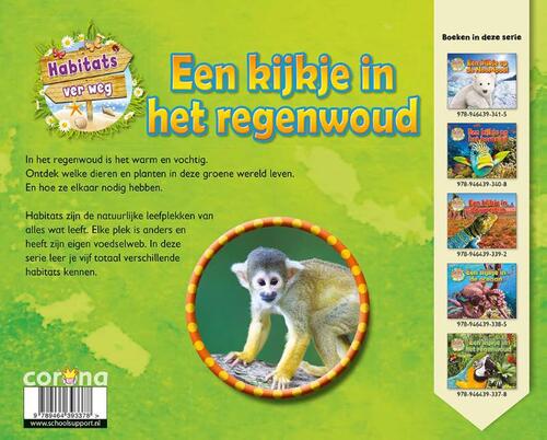 Een kijkje in het regenwoud