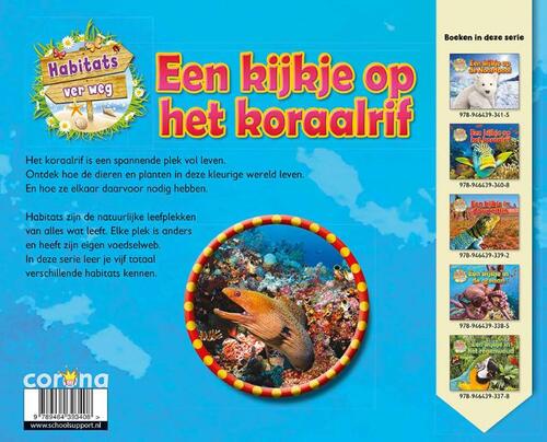 Een kijkje op het koraalrif