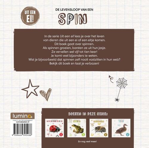 De levensloop van een spin