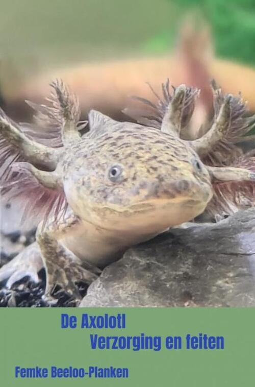 De Axolotl
