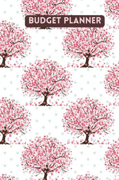 Budget planner - Kasboek - Huishoudboekje - Budgetplanner : Law of Attraction Editie