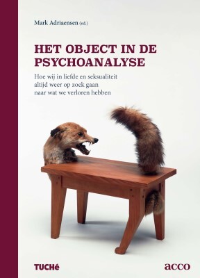 Het object in de psychoanalyse