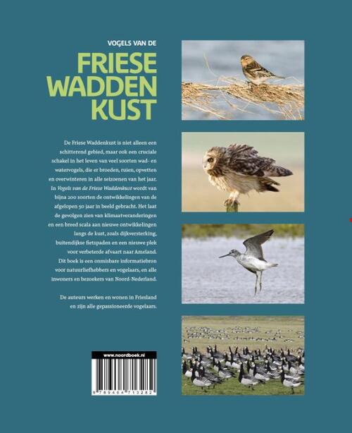 Vogels van de Friese Waddenkust