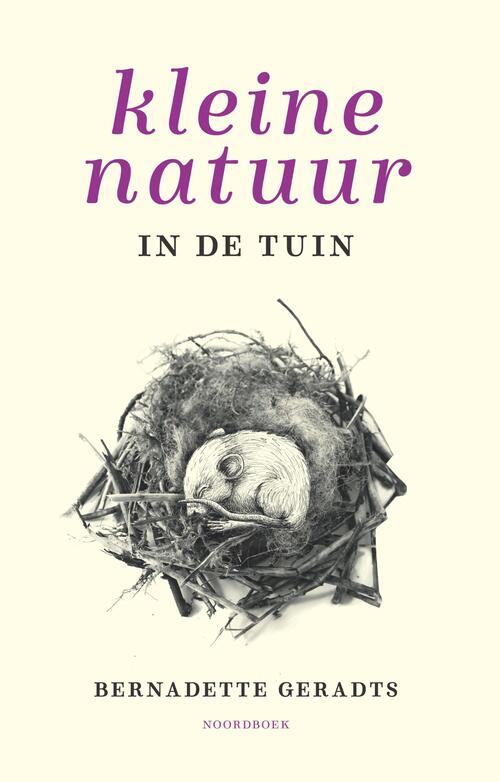 Kleine natuur in de tuin