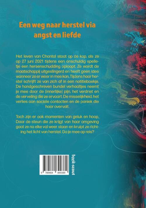 25 Jaar En Een Hersenschudding