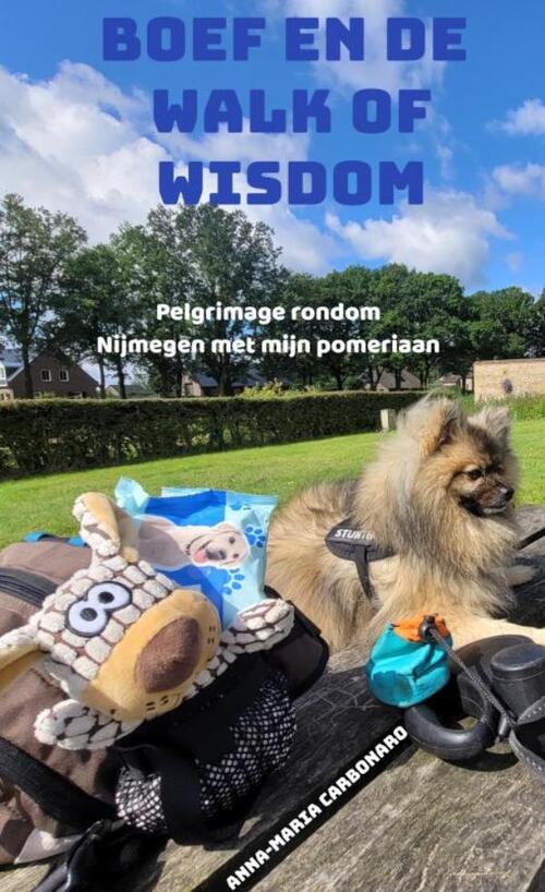 Boef en de Walk of Wisdom