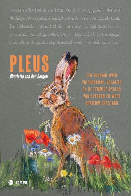 Pleus