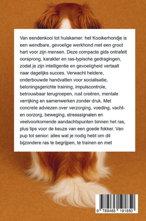 Alles over het Kooikerhondje