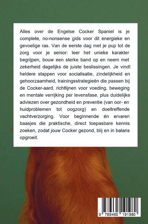 Alles over de Engelse Cocker Spaniel