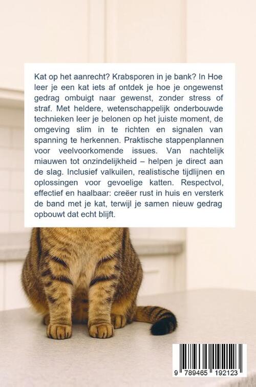 Hoe leer je een kat iets af
