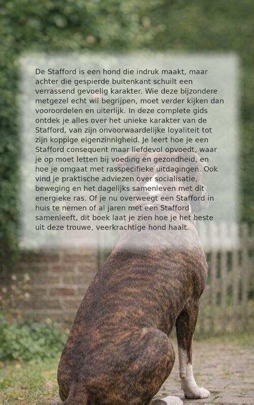 Alles over de Stafford