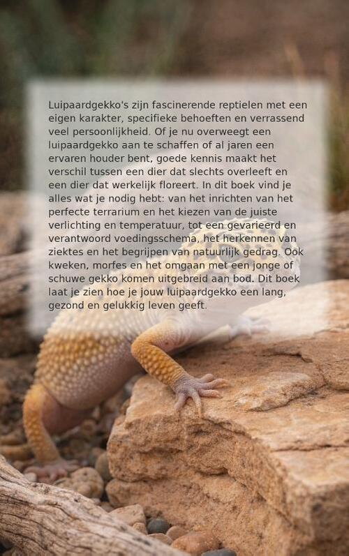 Alles over Luipaardgekko's
