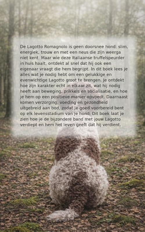 Alles over de Lagotto Romagnolo
