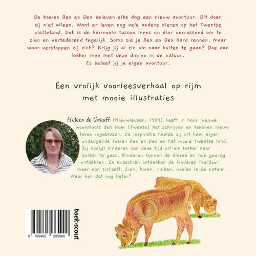 De koeien Rex en Dex op het Twentse platteland