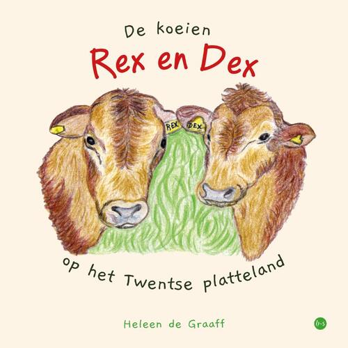 De koeien Rex en Dex op het Twentse platteland