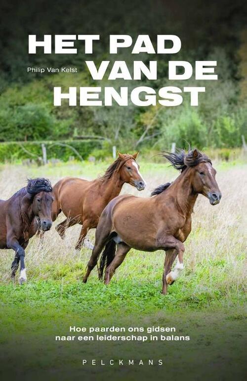 Het pad van de hengst