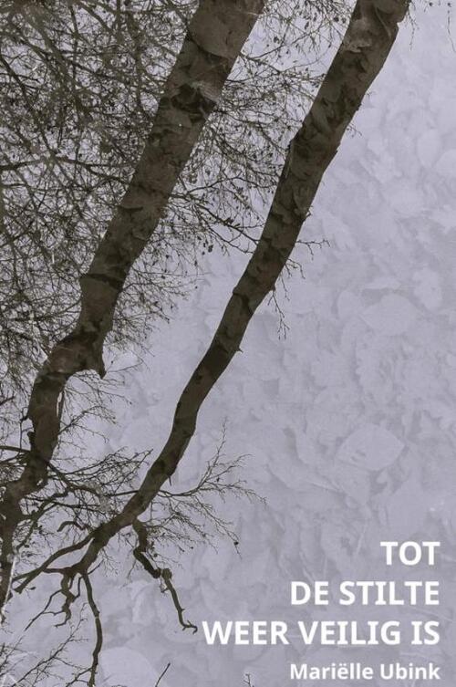 Tot de stilte weer veilig is