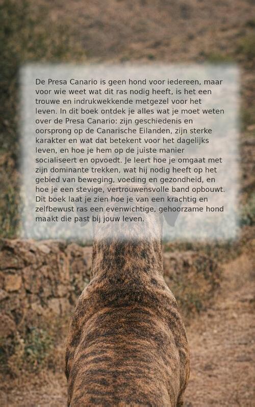 Alles over de Presa Canario