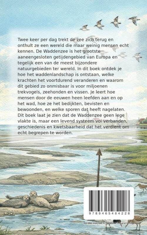 Alles over de Waddenzee