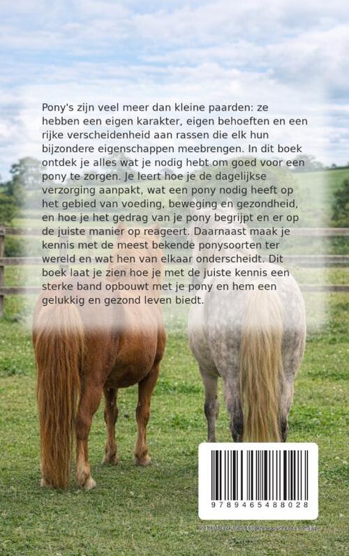 Alles over Pony's