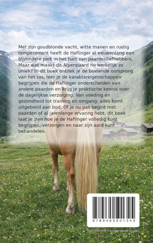 Alles over het Haflinger