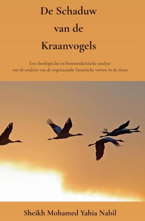 De Schaduw Van De Kraanvogels