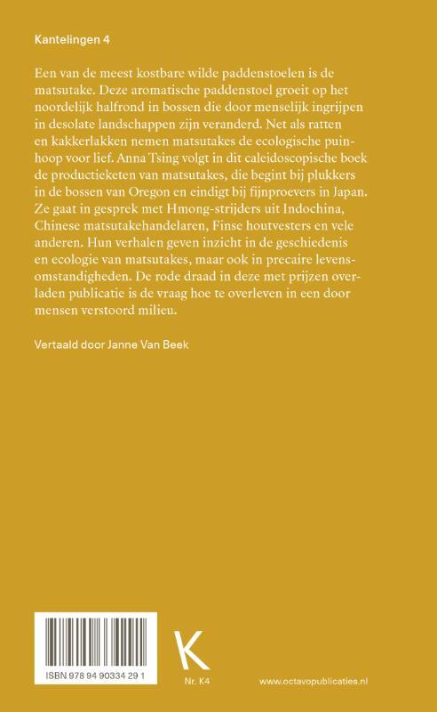 De paddenstoel aan het einde van de wereld