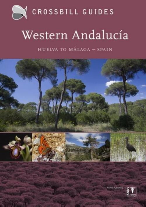 Crossbill Guide Western Andalucia - natuur reisgids Spanje
