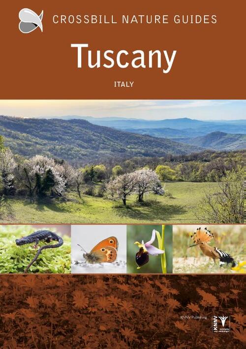 Crossbill Guide Tuscany