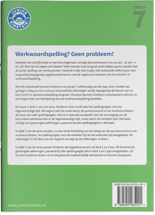 Werkwoordspelling leer- en oefenboek