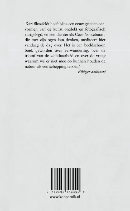 Karl Blossfeldt en het Oog van Allah