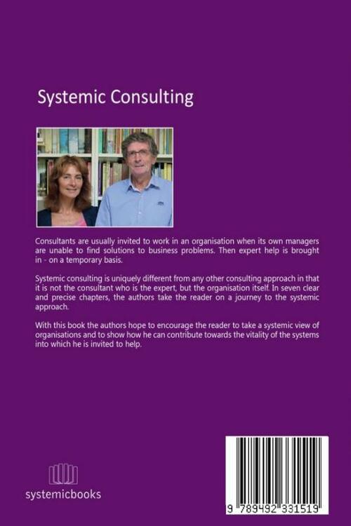 Systemic consulting